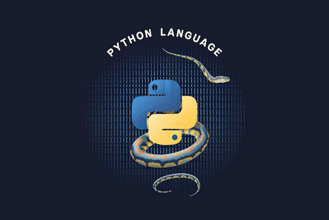 Python Basics